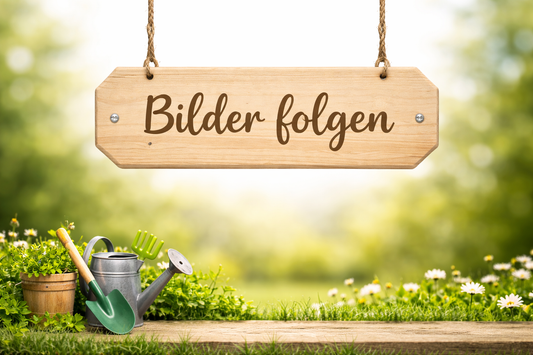 Herdplatten für Matschküchen – 2er Set